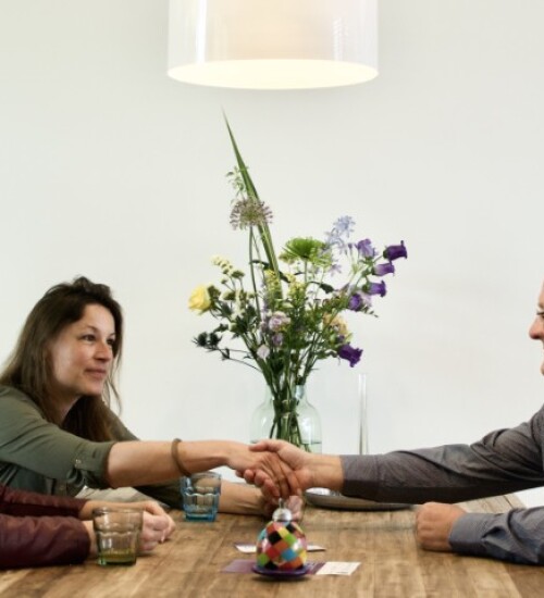 Arbeidsmediation HG nus Mediation